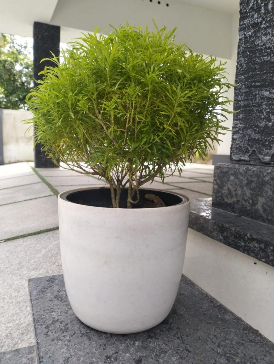 Bachan'S Casa 柴瑞海滩 外观 照片
